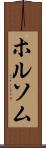 ホルソム Scroll