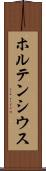 ホルテンシウス Scroll