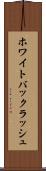 ホワイト・バックラッシュ Scroll