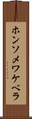 ホンソメワケベラ Scroll