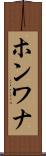 ホンワナ Scroll