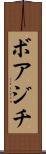 ボアジチ Scroll