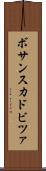ボサンスカドビツァ Scroll