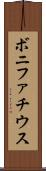 ボニファチウス Scroll