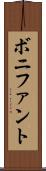 ボニファント Scroll