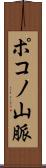 ポコノ山脈 Scroll