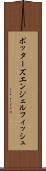 ポッターズエンジェルフィッシュ Scroll