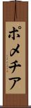 ポメチア Scroll