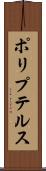 ポリプテルス Scroll