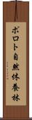 ポロト自然休養林 Scroll