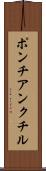 ポンチアンクチル Scroll