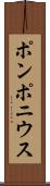 ポンポニウス Scroll