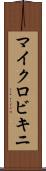 マイクロビキニ Scroll