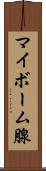 マイボーム腺 Scroll