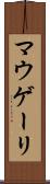 マウゲーリ Scroll