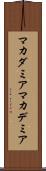 マカダミア Scroll
