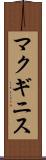 マクギニス Scroll