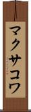 マクサコワ Scroll