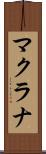 マクラナ Scroll