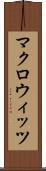 マクロウィッツ Scroll