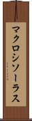 マクロシソーラス Scroll