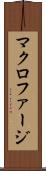 マクロファージ Scroll