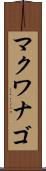 マクワナゴ Scroll