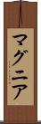 マグニア Scroll