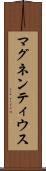 マグネンティウス Scroll