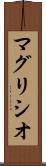 マグリシオ Scroll