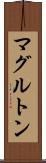 マグルトン Scroll