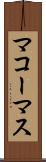 マコーマス Scroll