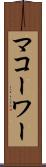 マコーワー Scroll
