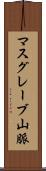 マスグレーブ山脈 Scroll