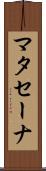 マタセーナ Scroll