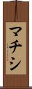 マチシ Scroll