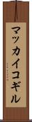 マッカイコギル Scroll