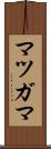 マツガマ Scroll