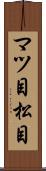 マツ目 Scroll