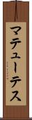 マテューテス Scroll