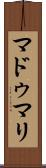 Madumali Scroll