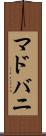 マドバニ Scroll