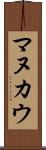 マヌカウ Scroll