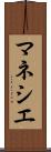 マネシエ Scroll