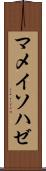 マメイソハゼ Scroll