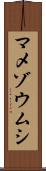 マメゾウムシ Scroll