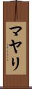 マヤリ Scroll