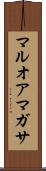 マルオアマガサ Scroll