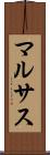 マルサス Scroll