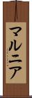 マルニア Scroll